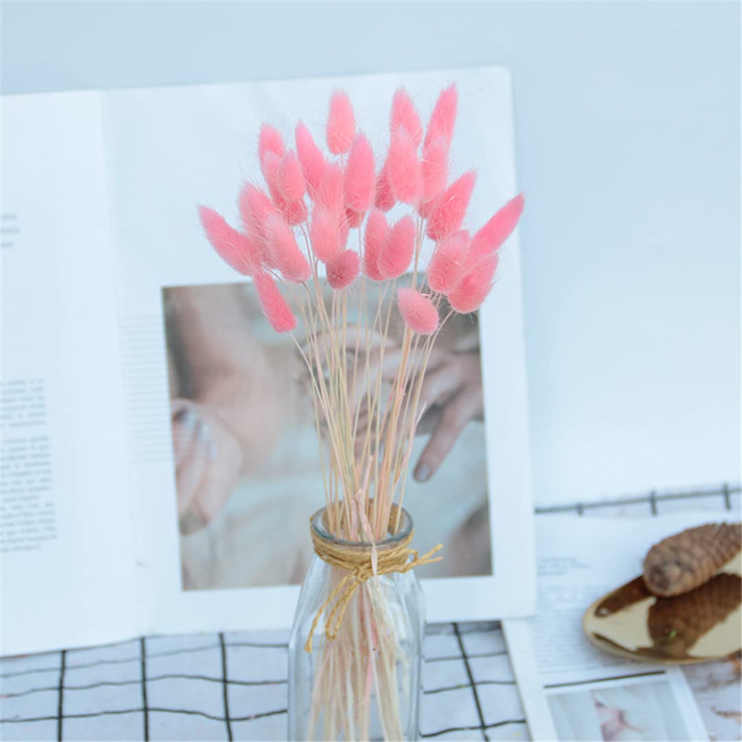 60/30Pcs Natural Dried Pampas Grass Bouquet - Real Rabbit Tail Grass for Wedding, Easter & Home Decor - Perfect for Centerpieces, Wall Arrangements & Boho Styling