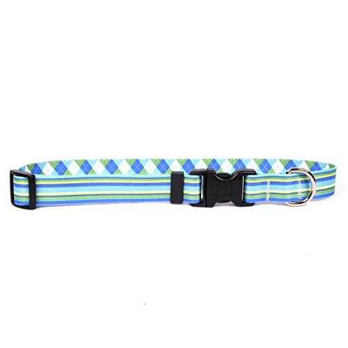 Blue & Green Stripes w/Argyle