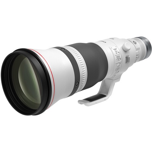 Canon RF 600mm f/4L IS USM Telephoto Lens for Wildlife & Sports Photography - Professional DSLR Camera Lens for Birding, Safari, and Outdoor Shooting