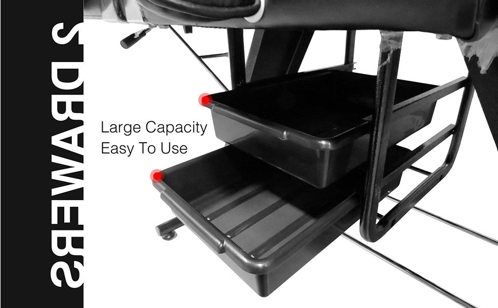 Professional SPA Beauty Facial Bed & Tattoo Chair with Storage (Model 901/902) - Perfect for Salon, Spa, and Tattoo Studio Use
