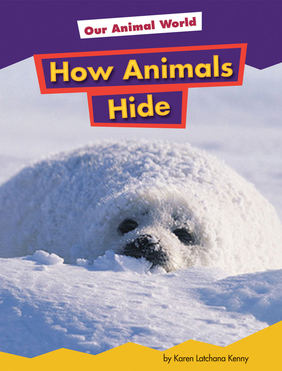 How Animals Hide - Camouflage and Survival Strategies in Nature | Perfect for Kids' Science Projects and Wildlife Education