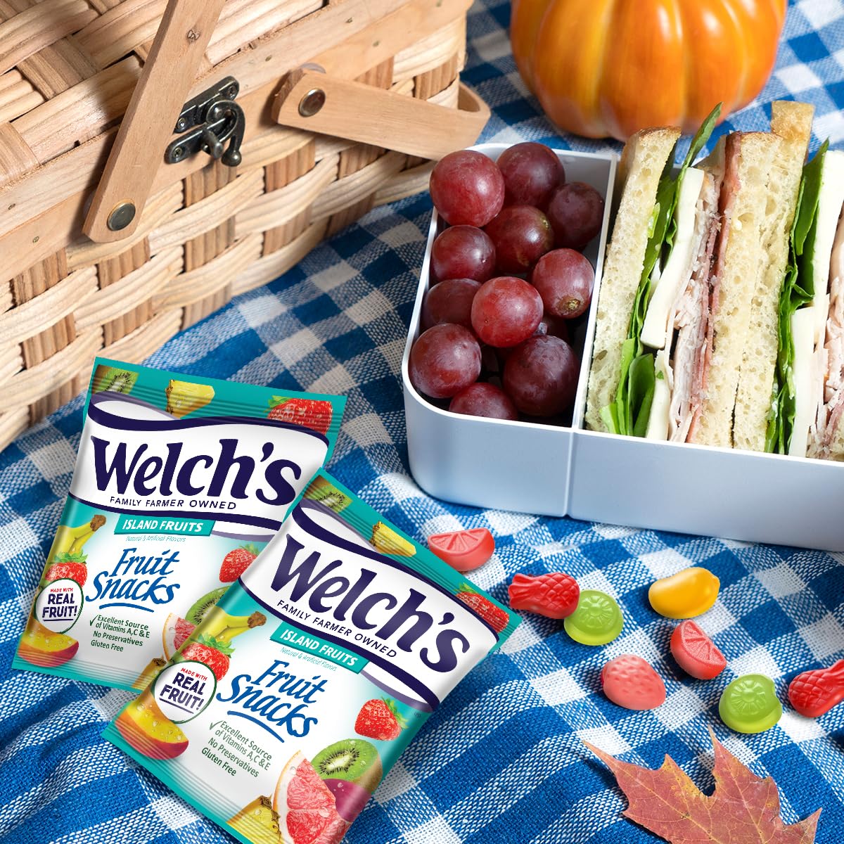 Welch's Fruit Snacks Variety Pack - Fruit Punch & Island Fruits Flavors, 0.8 oz Single Serve Bags (40 Count) | Healthy Snacks for Kids Lunch Boxes, School, Travel & On-the-Go