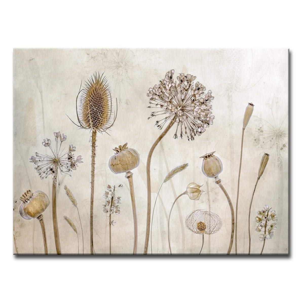 Ready2HangArt 'Growing Old' Floral Wrapped Canvas Wall Art - 30x40 Inches - Perfect for Living Room, Bedroom & Office Décor