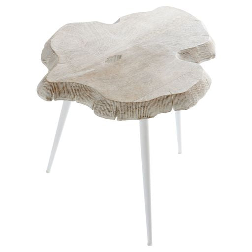 Cyan Design 11341 Palmer Side Table - Whitewashed Wood Nightstand for Bedroom, Living Room & Office | Modern Farmhouse Accent Table with Storage Shelf