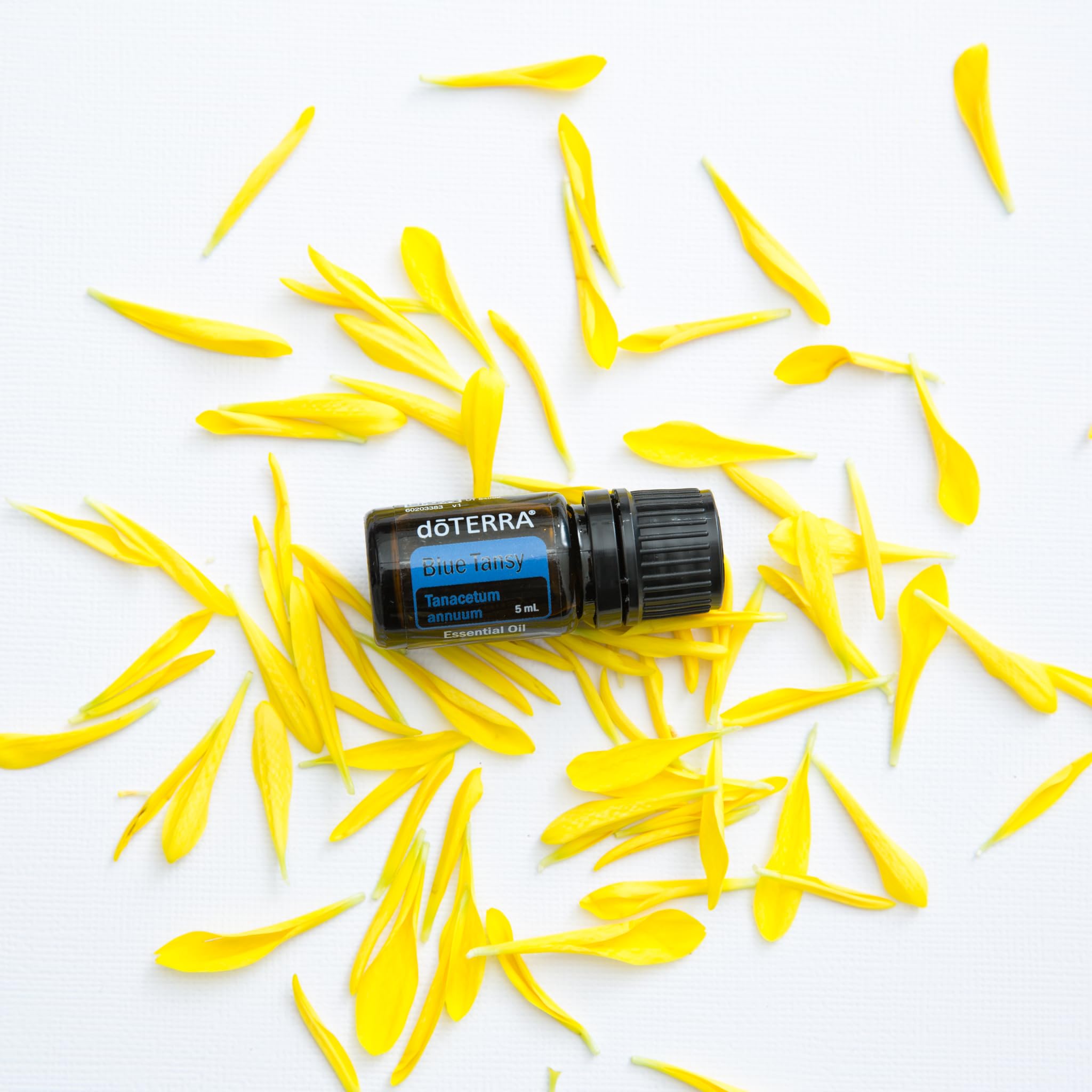 doTERRA Blue Tansy Essential Oil 5mL - 100% Pure Therapeutic Grade Aromatherapy Oil for Relaxation, Skin Care & Stress Relief | Perfect for Diffusers, Massage & DIY Beauty Products