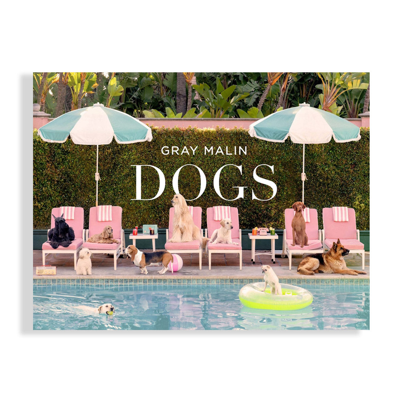 Gray Malin: Dogs - Premium Dog Photography Wall Art Prints for Home & Office Decor | Perfect for Pet Lovers & Animal-Themed Interior Design