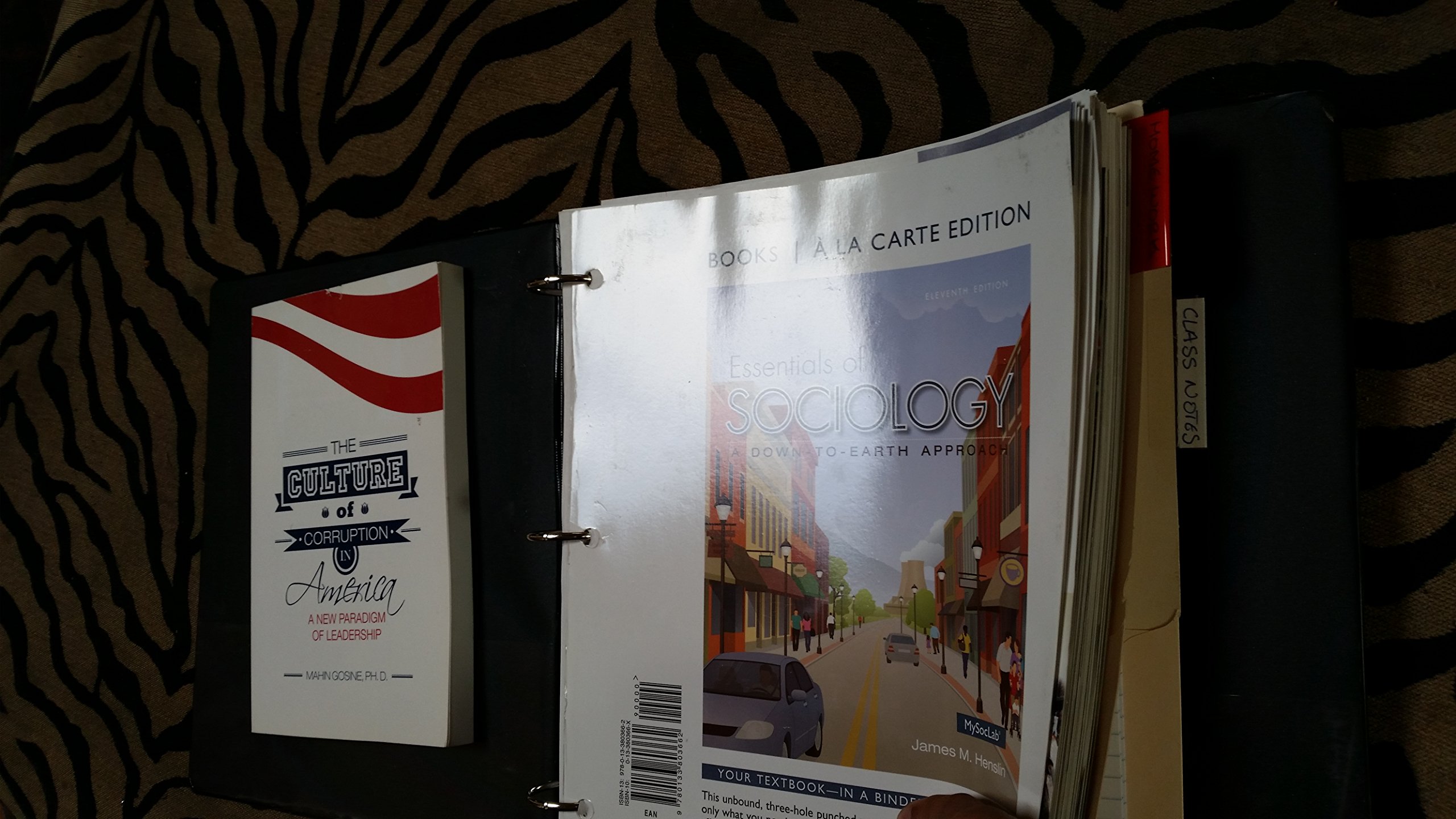 Essentials of Sociology 11th Edition - Loose Leaf Textbook for College Students | Perfect for Sociology Courses & Self-Study