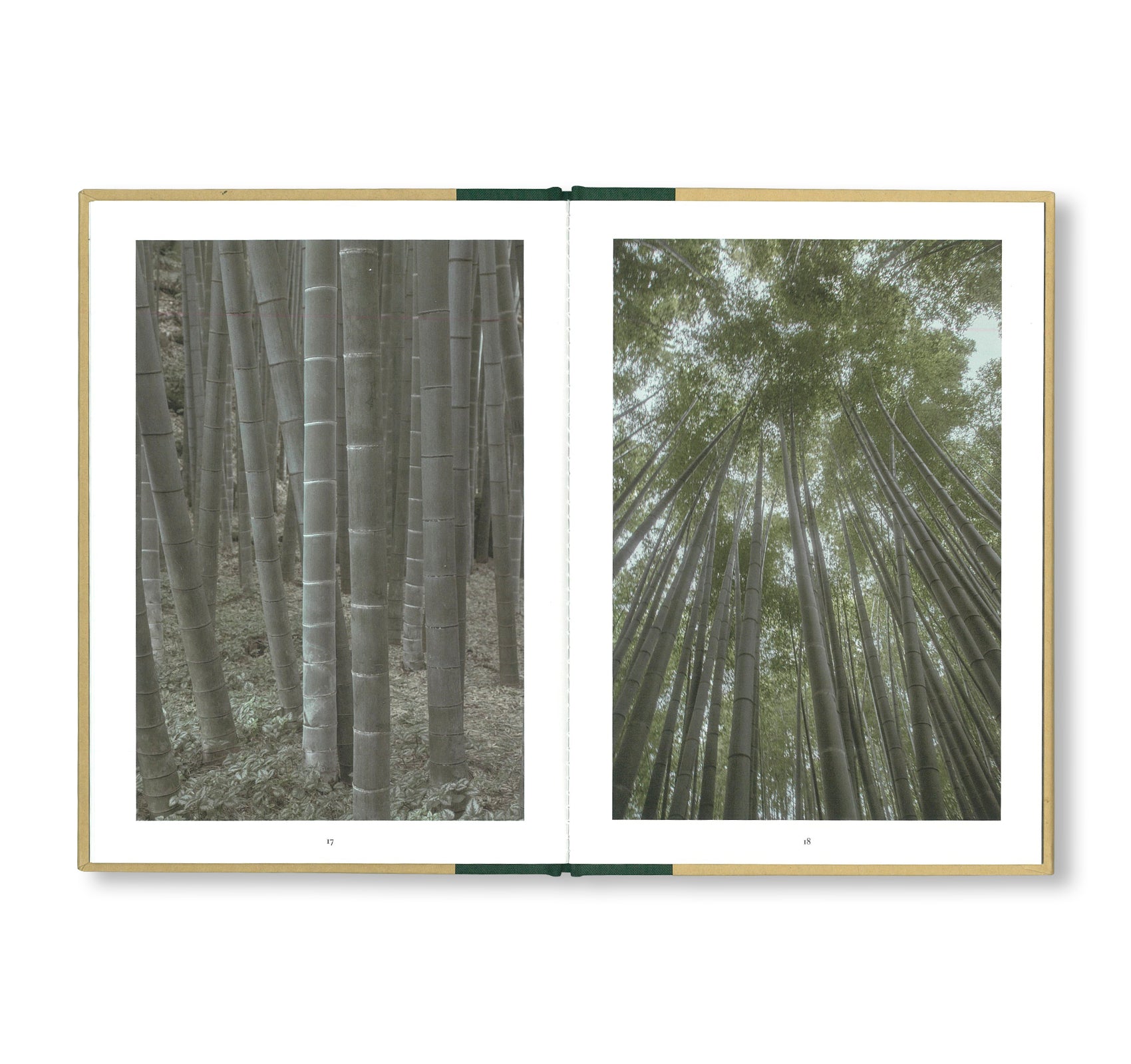 ONE PICTURE BOOK TWO #18: A WALK THROUGH A BAMBOO GROVE by David H. Gibson - Nature Photography Book, Bamboo Forest Exploration, Perfect for Art Lovers & Home Decor
