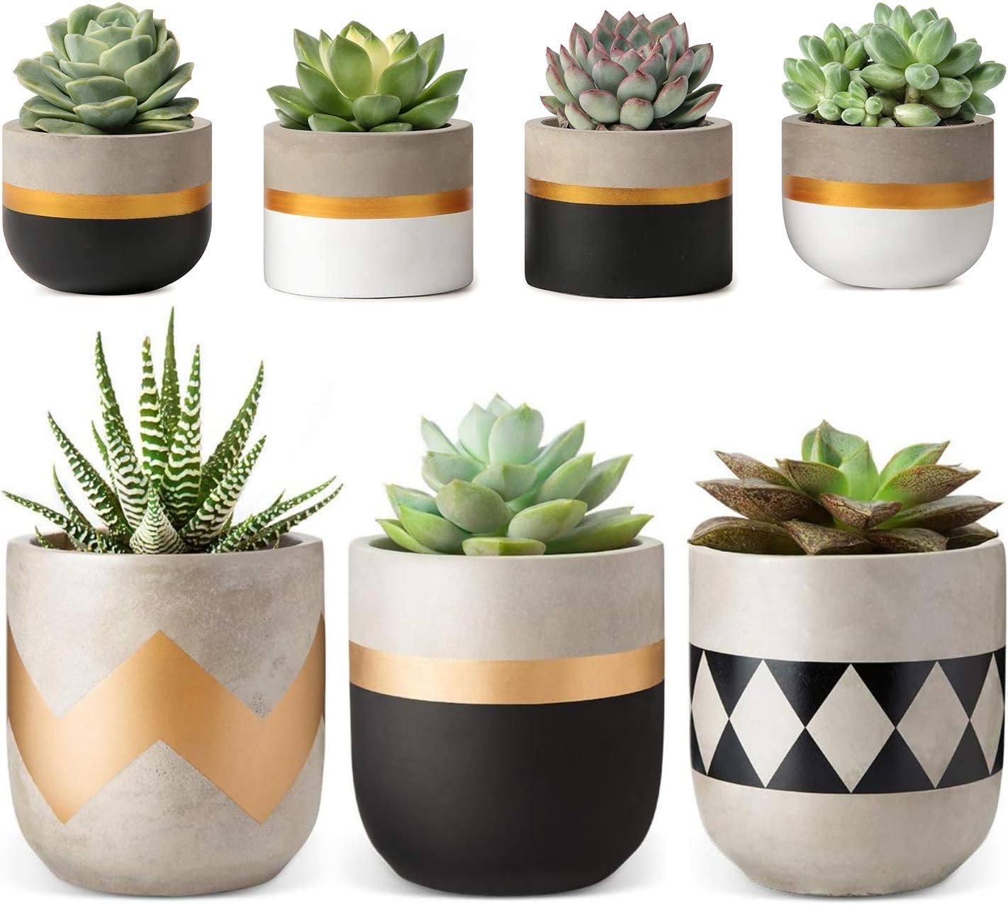 Modern Cement Succulent Planter Set - 3 Pack Small Flower Pots for Indoor Plants, Home & Office Decor (Plants Not Included) - Perfect for Windowsill, Desk, Shelf Display