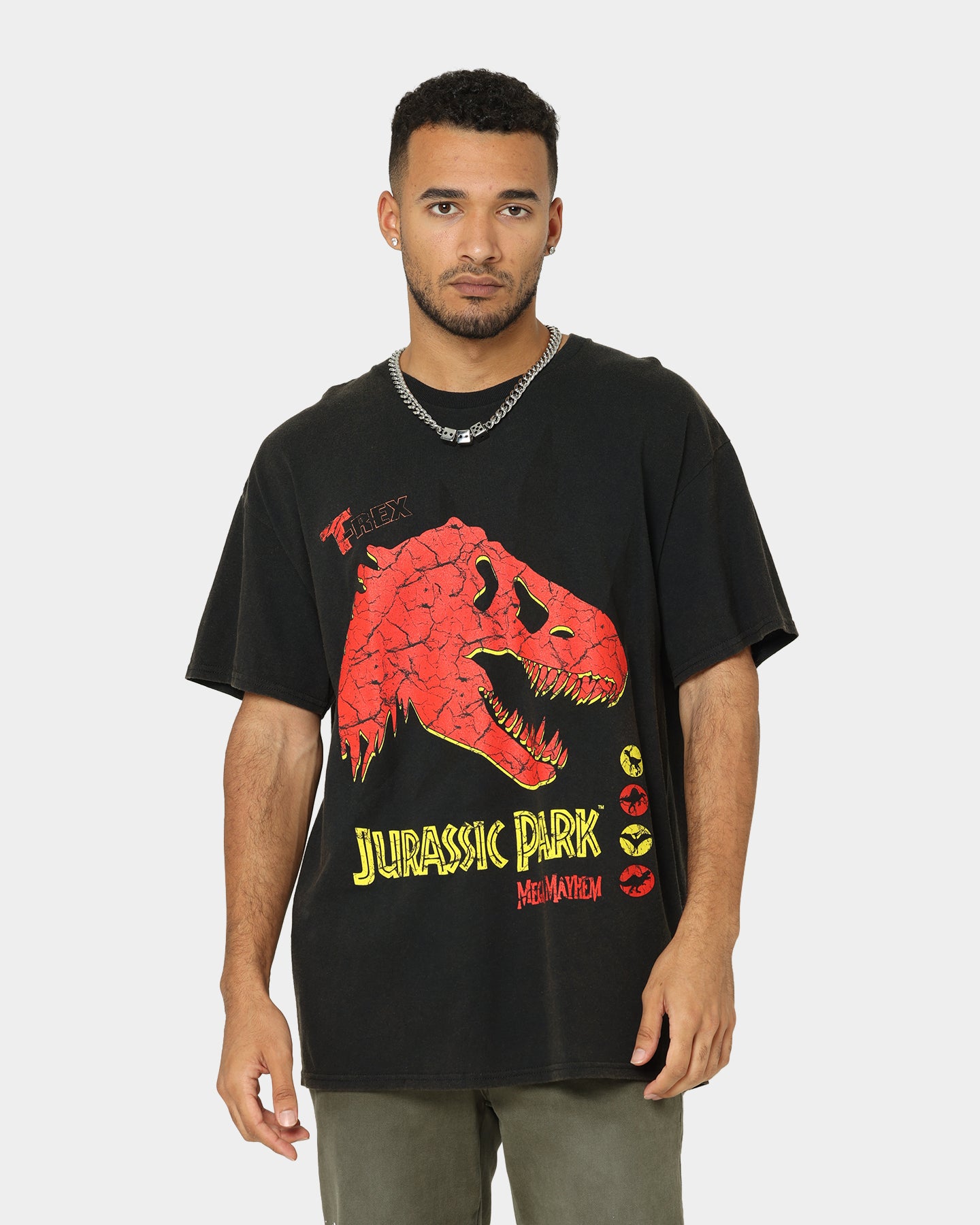 Vintage Jurassic Park Mega Mayhem Graphic T-Shirt - Black Distressed Wash - Retro Movie Tee for Men & Women - Perfect for Casual Wear, Cosplay & Dinosaur Theme Parties