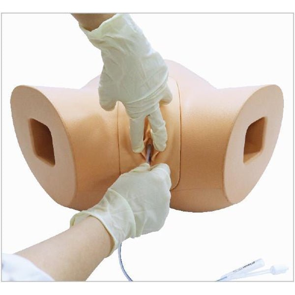 Female Catheterization Simulator - Medical Training Model for Nursing Students & Healthcare Professionals - Practice Urinary Catheter Insertion Techniques