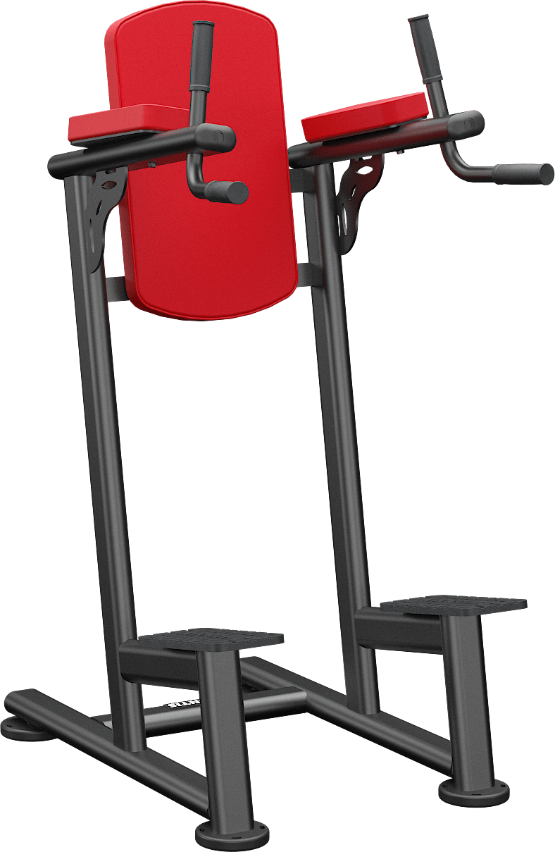 ATLANTIS Standing Leg Raise Machine for Home Gym - Ab Workout Equipment for Core Strength Training - Perfect for Fitness Enthusiasts & Athletes