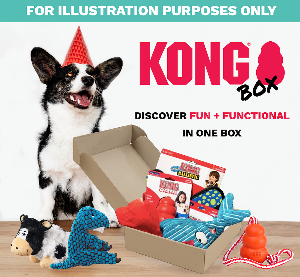 **Kong x BARE Surprise Box - 30% Off - Durable Dog Toys & Treats for Interactive Play & Training - Perfect for Chewers, Puppies & Active Dogs**