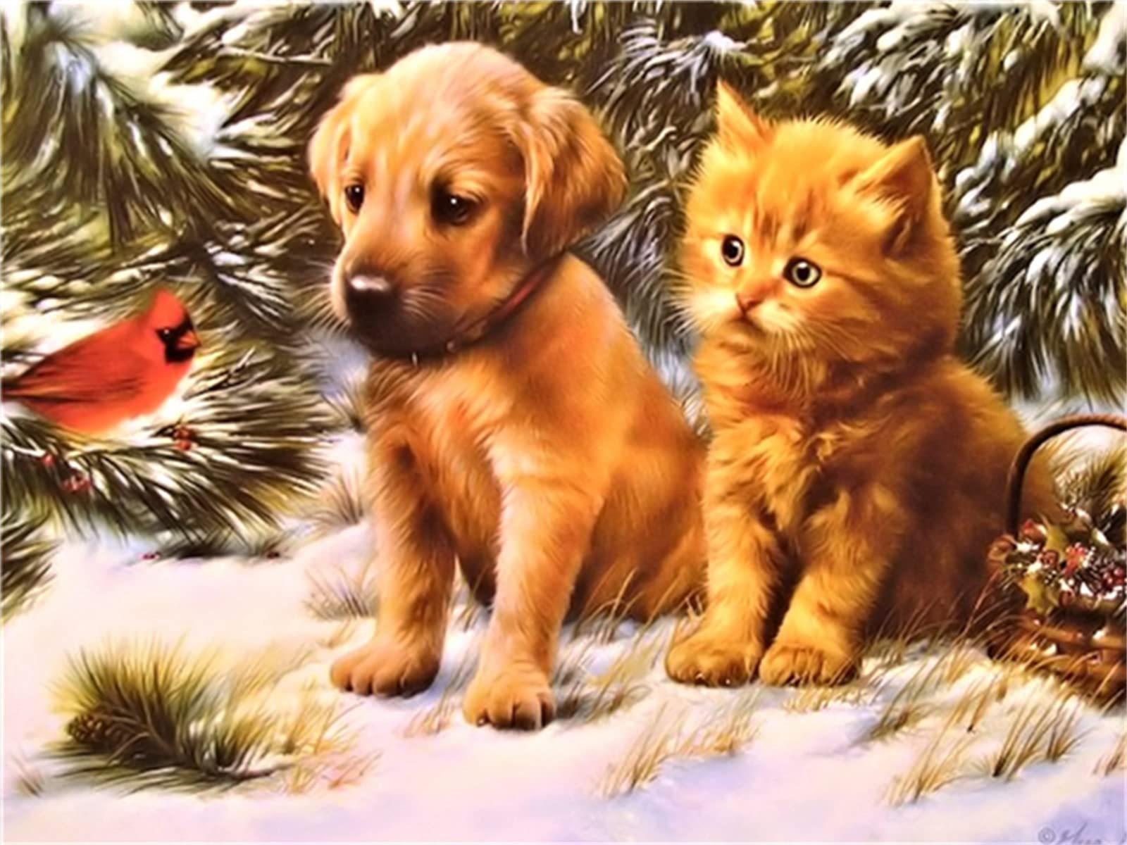 5D Diamond Painting Kit for Adults - Dog, Cat & Bird Square Full Drill Diamond Art - 10x12inch (25x30cm) Beginner-Friendly DIY Home Decor - Perfect for Wall Art, Relaxation & Creative Gift Giving