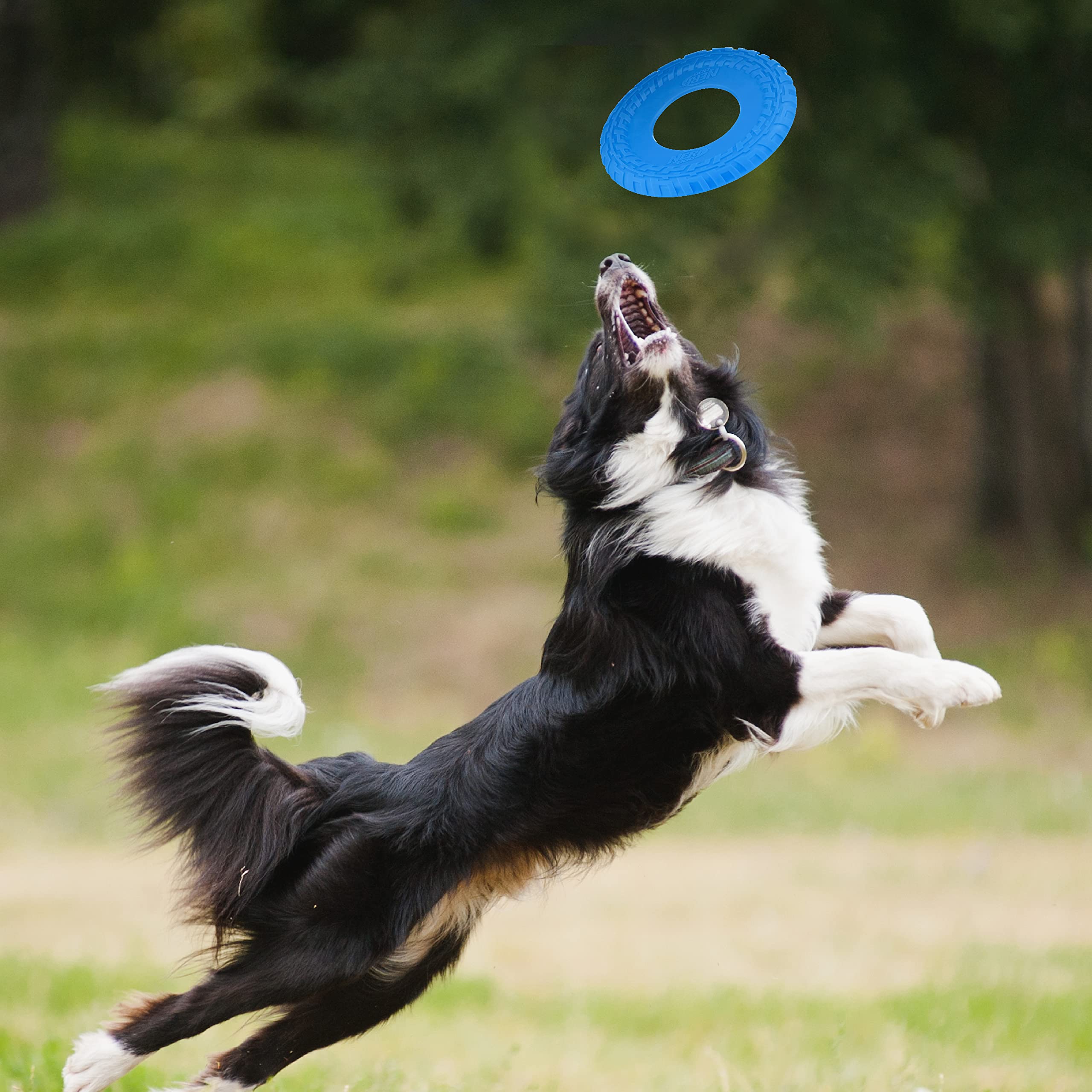 Nerf Dog Tire Flyer - 10 Inch Durable Rubber Flying Disc Dog Toy for Medium & Large Dogs - Blue - Perfect for Outdoor Fetch, Beach Play & Backyard Fun