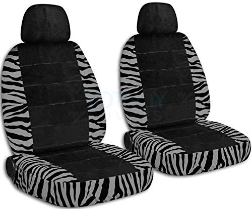 Silver Zebra & Black