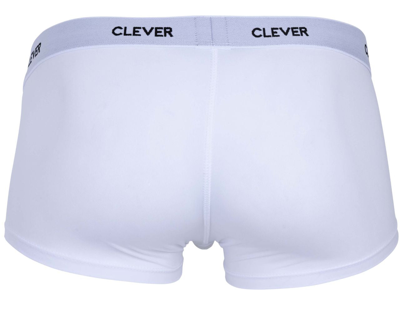 Luxury Clever Trunk 1677 - Premium Travel Storage & Stylish Home Decor for Suitcases, Blankets & Seasonal Items