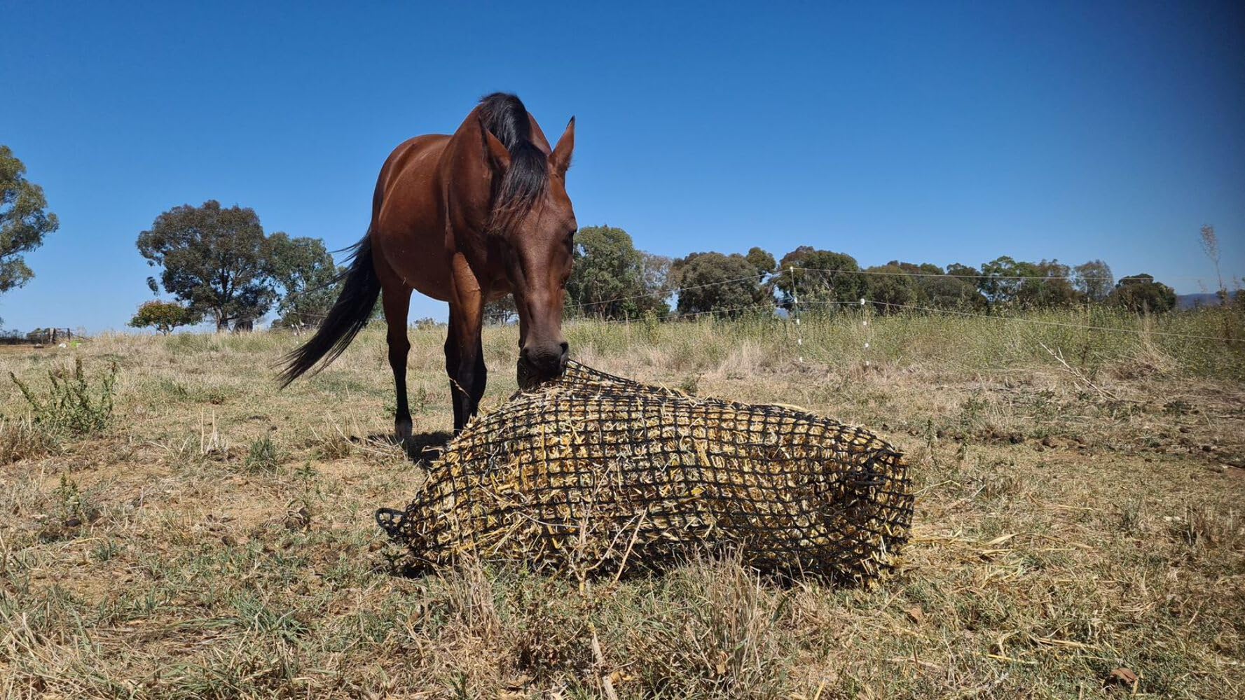 Large Knotless Slow Feed Hay Net 3/4