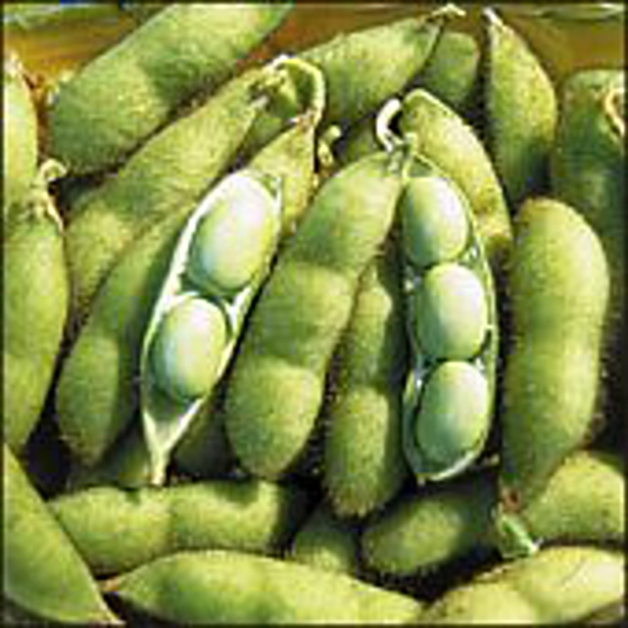 Organic Envy Soybean Seeds (20+ Seeds) | Non-GMO, Heirloom Vegetable Seeds for Planting | Home Garden, Greenhouse, or Backyard Farming | Perfect for Edamame, Soy Milk, and Tofu Making