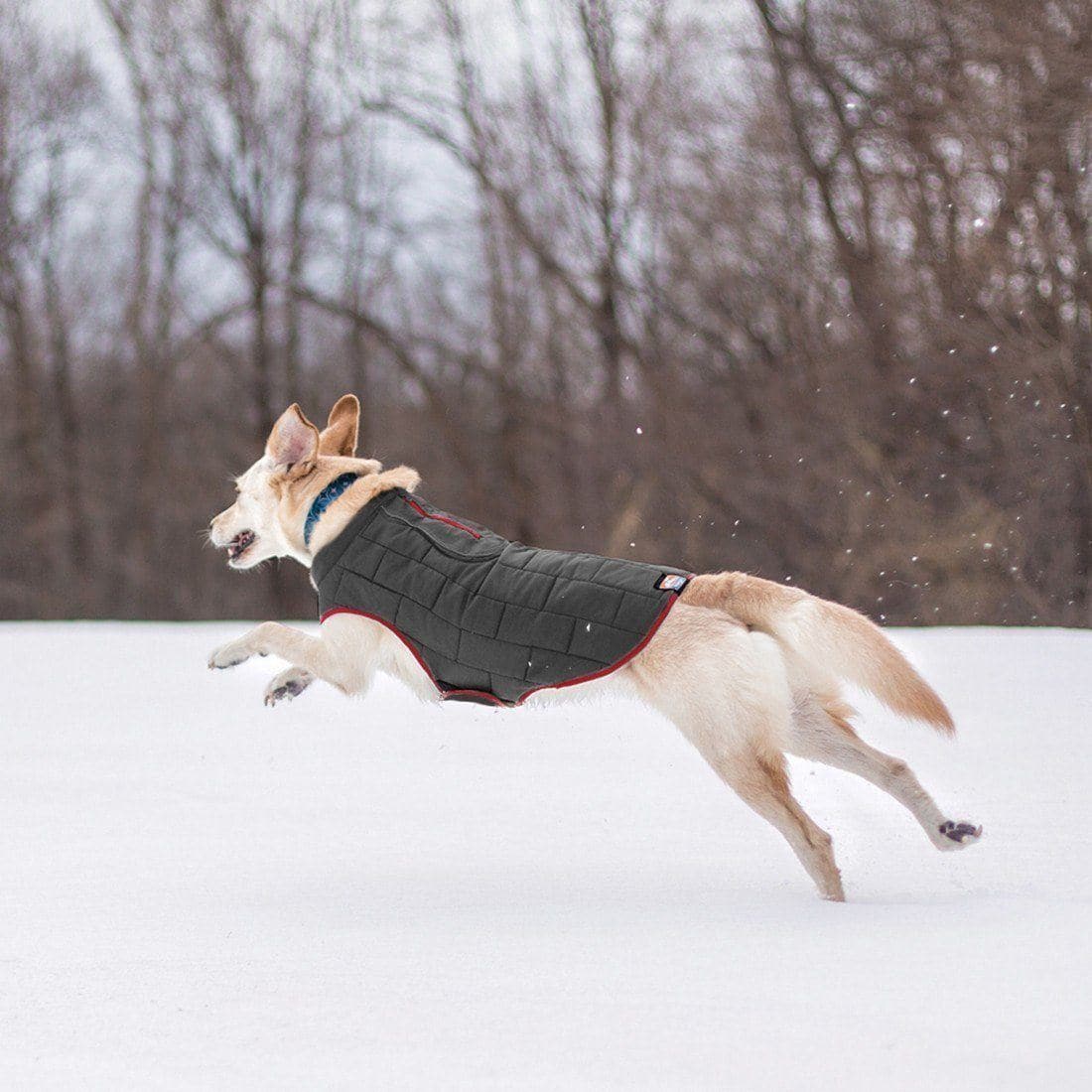 Reversible Waterproof Dog Jacket - Magenta/Bubblegum Pink - Perfect for Rainy Walks & Outdoor Adventures