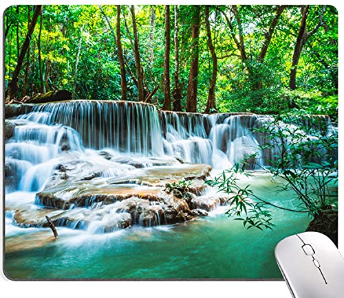 Green forest waterfall