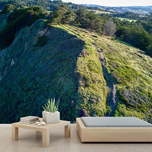 3D PVC Peel and Stick Wallpaper - Mountains Outdoors Landscape Mural (78