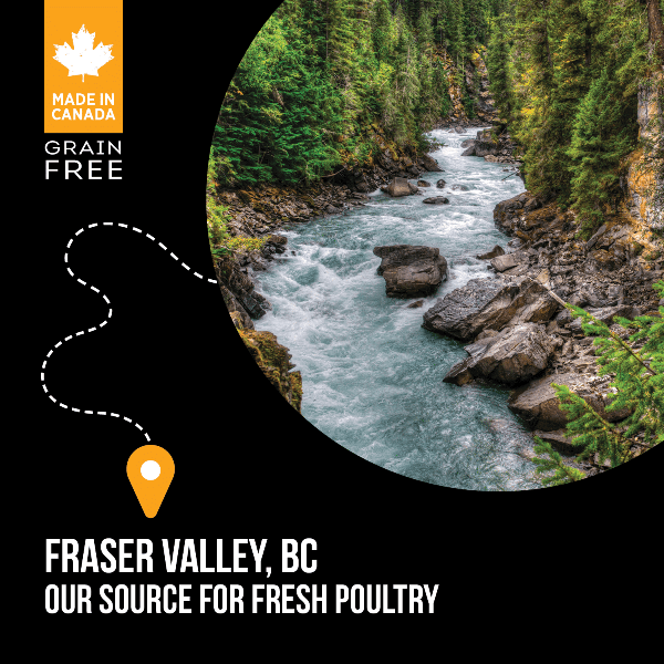Nutrience SubZero Fraser Valley Large Breed Dry Dog Food - 10kg (22 lbs) High Protein Grain-Free Recipe for Adult Dogs - Ideal for Active & Outdoor Lifestyles