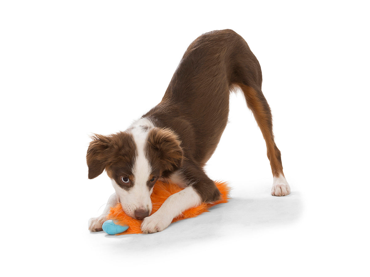 West Paw Design Custer Dog Toy - Durable Chew Toy for Aggressive Chewers, Interactive Play & Fetch - Perfect for Large Dogs, Puppies & Outdoor Activities
