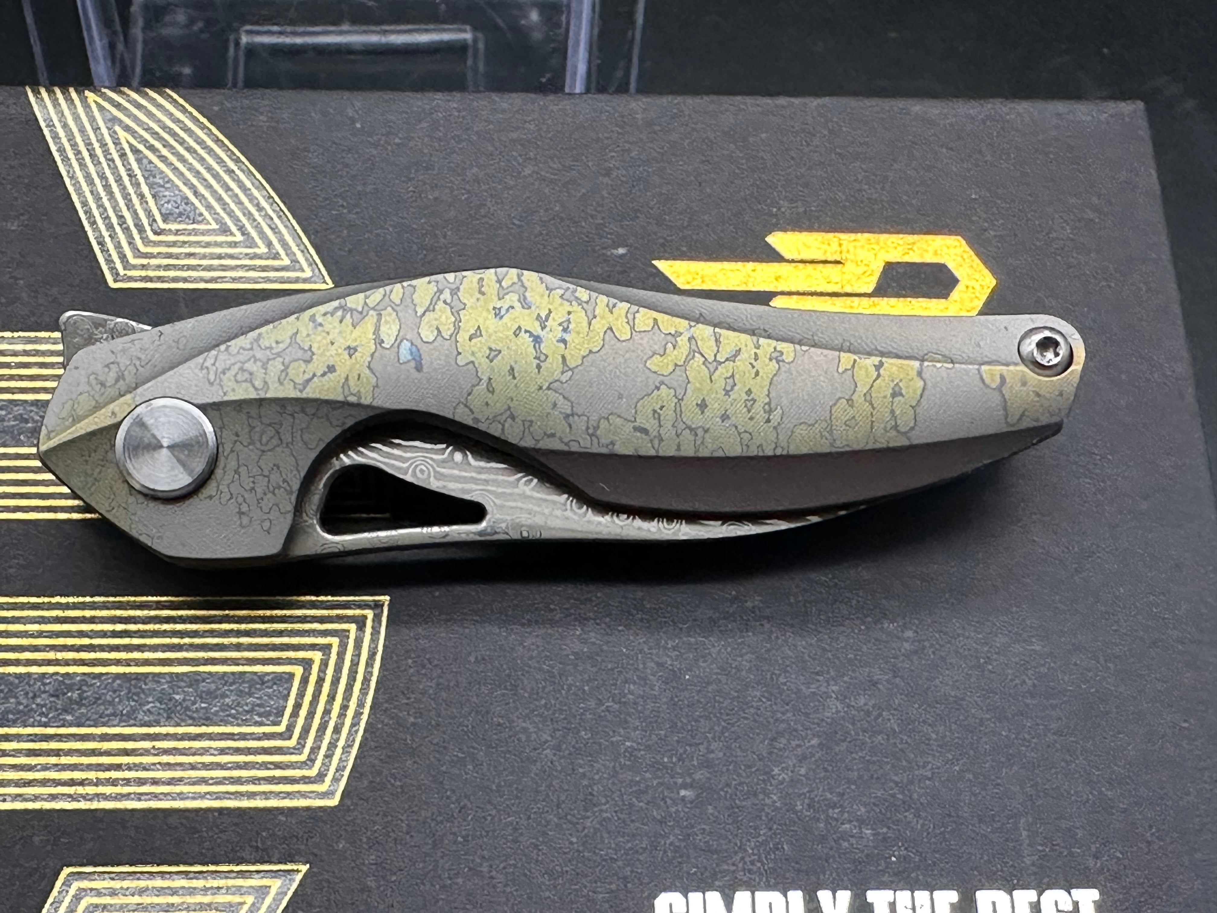 Bestech Isham Reticulan Frame Lock Folding Knife - Titanium Handle with Damascus Steel Blade - EDC Pocket Knife for Outdoor, Camping & Everyday Carry