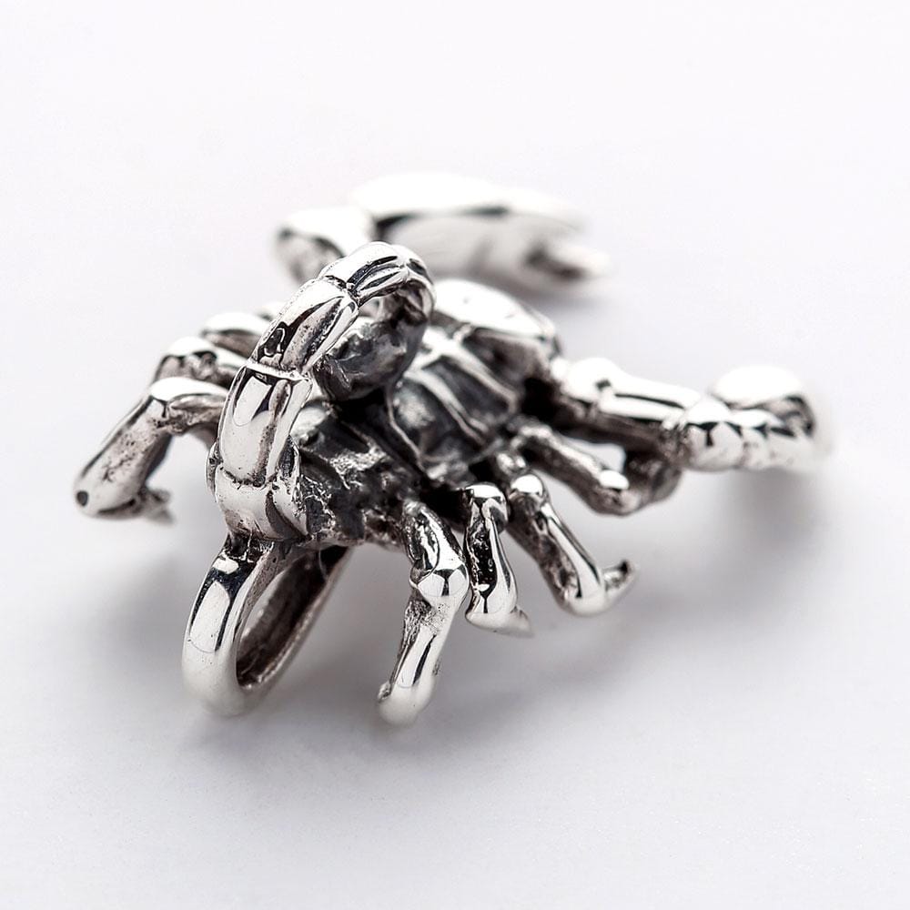 Scorpion Sterling Silver Pendant Necklace for Men & Women | 925 Silver Zodiac Jewelry Gift for Birthday, Anniversary & Special Occasions