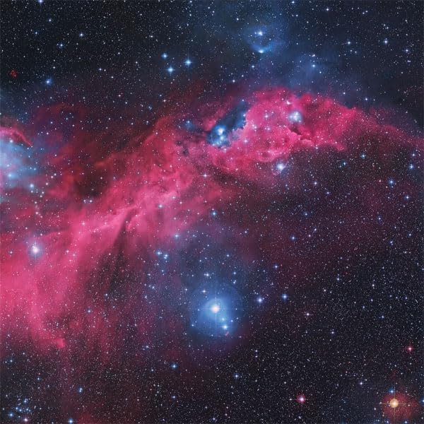 Pink - STOKTR02