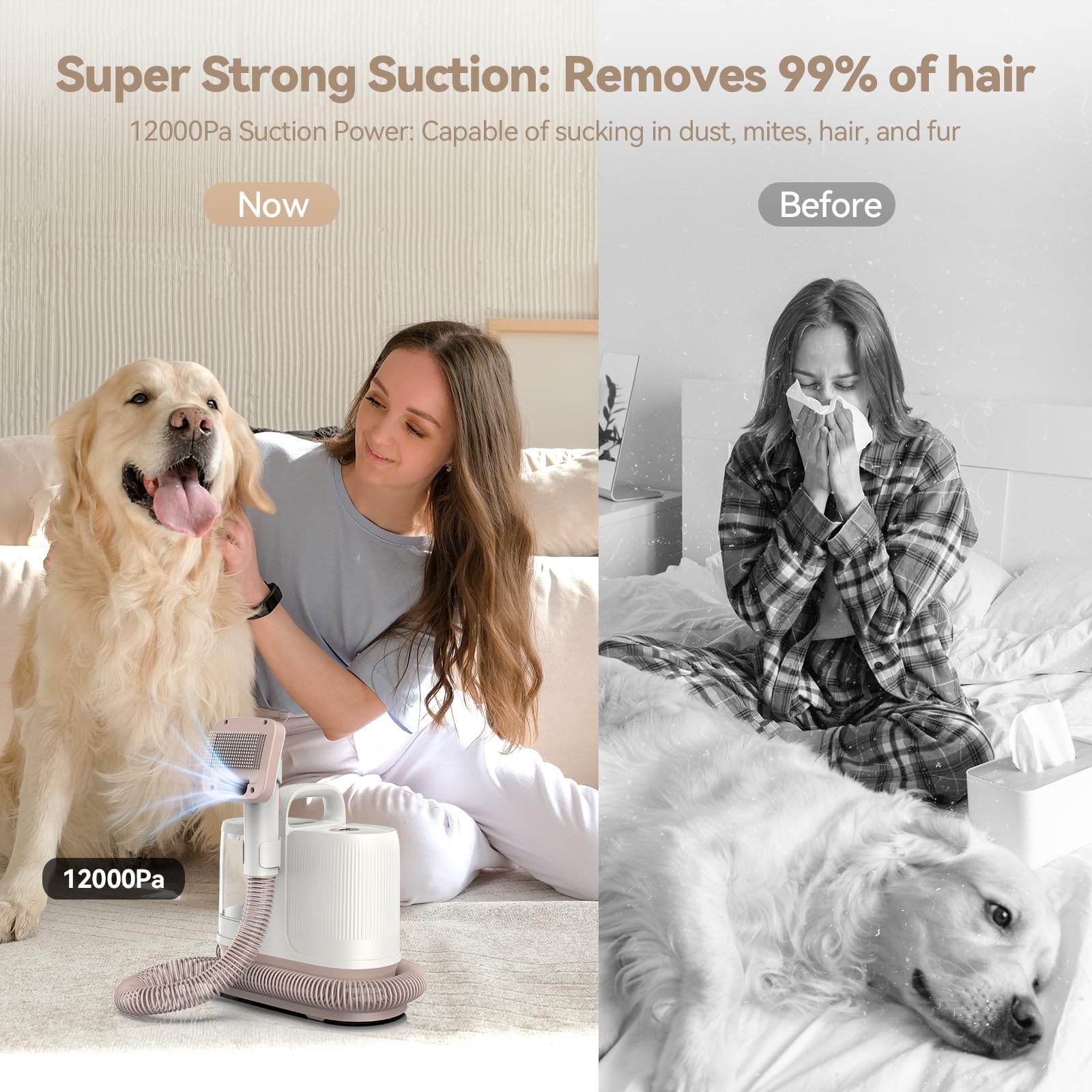 Redroad P17 400W Dog Grooming Kit - 6-in-1 Professional Pet Clippers with 3 Speed Settings for Grooming, Shaving & Vacuuming | Ultra Quiet Design for Cats & Dogs | 99% Hair Removal Vacuum Suction | Perfect for Home Pet Care & Professional Grooming Salons