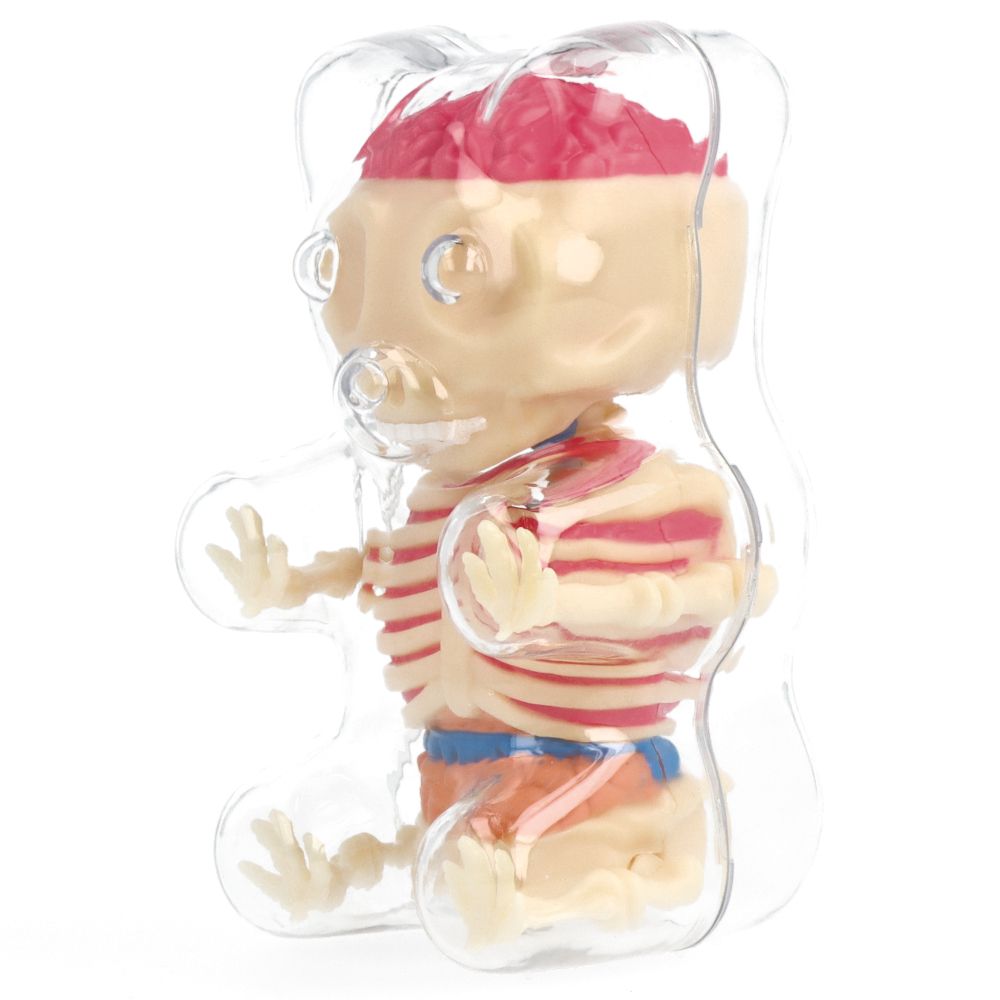 Jason Freeny 4.5 Inch Clear Gummi Bear Anatomy Model - Perfect for Science Education, Art Display & Pop Culture Collectibles