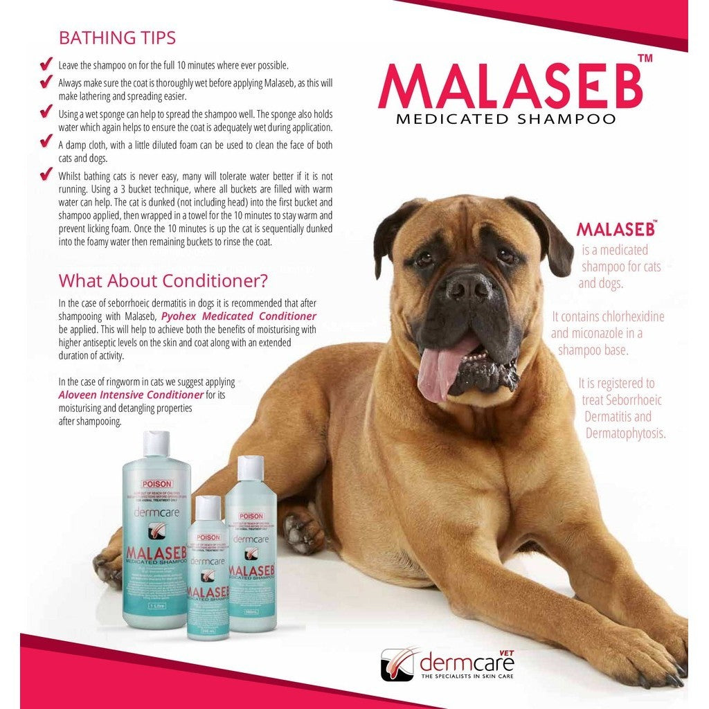 Dermcare Malaseb Medicated Shampoo for Dogs & Cats - 200ml & 1L Sizes | Aloveen Oatmeal Shampoo & Conditioner Set - 500ml & 1L | Vet-Recommended Pet Care Solution for Skin Irritations & Allergies - Perfect for Bathing & Grooming at Home
