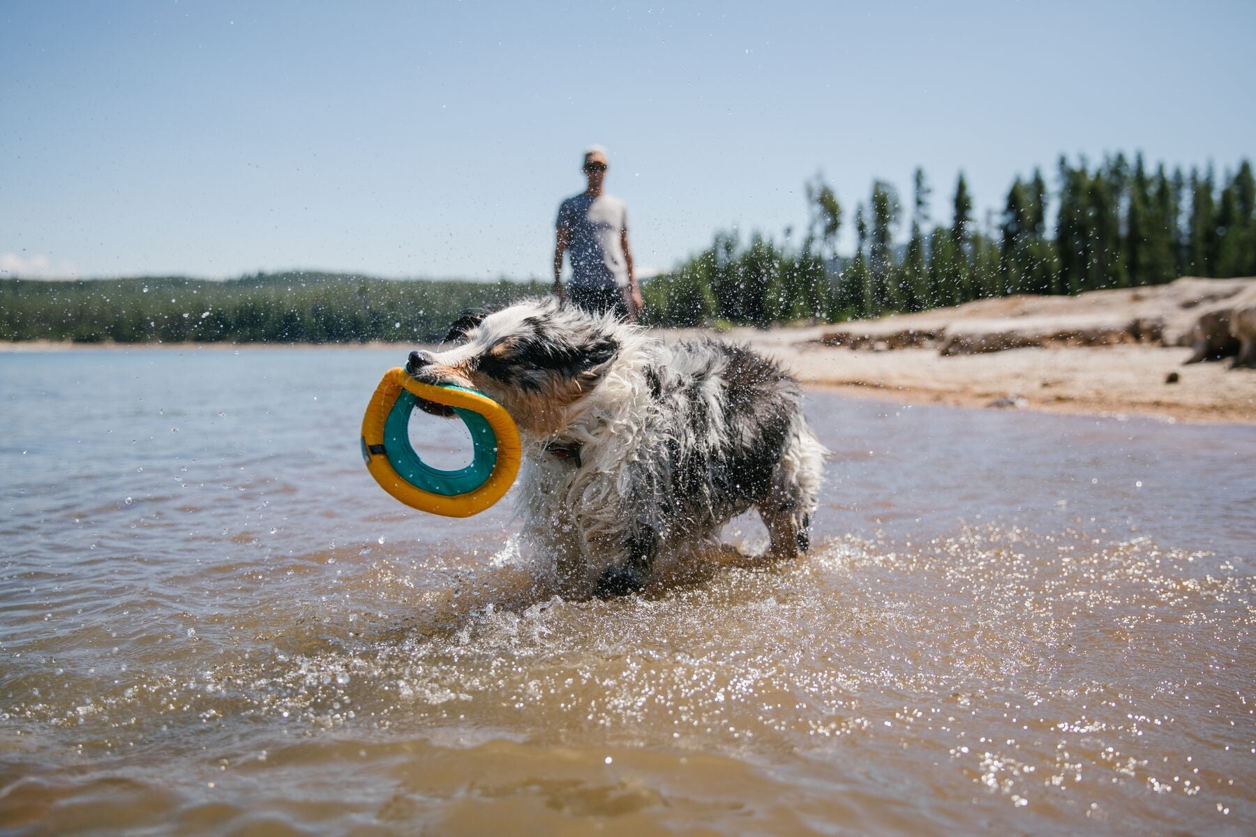 Hydro Plane™ Bioluminescent Blue Floating Dog Disc - Water Fetch Toy for Dogs - Ruffwear® - Perfect for Beach, Pool & Outdoor Play