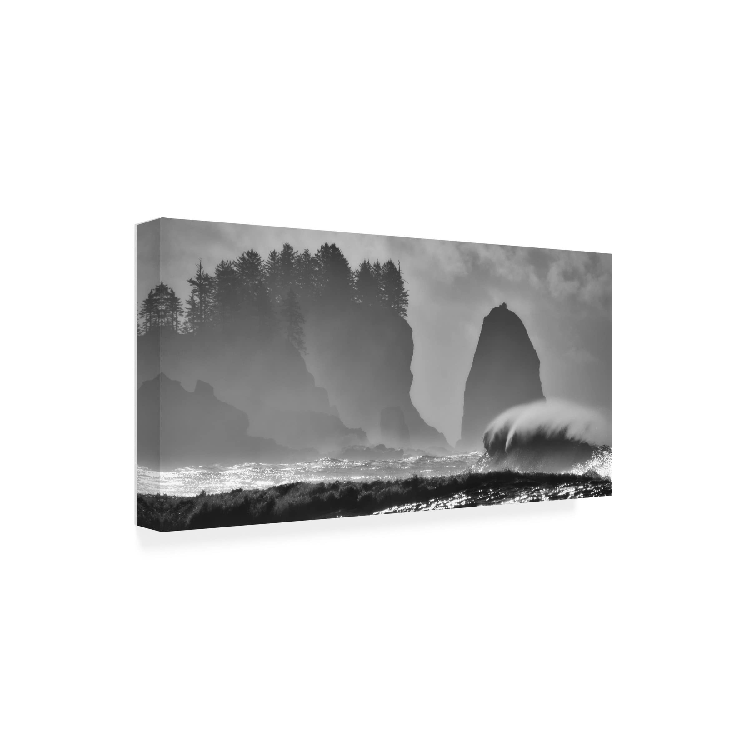 Trademark Fine Art 'Fury' Canvas Wall Art by Alain Turgeon - Abstract Painting for Modern Living Room & Office Decor