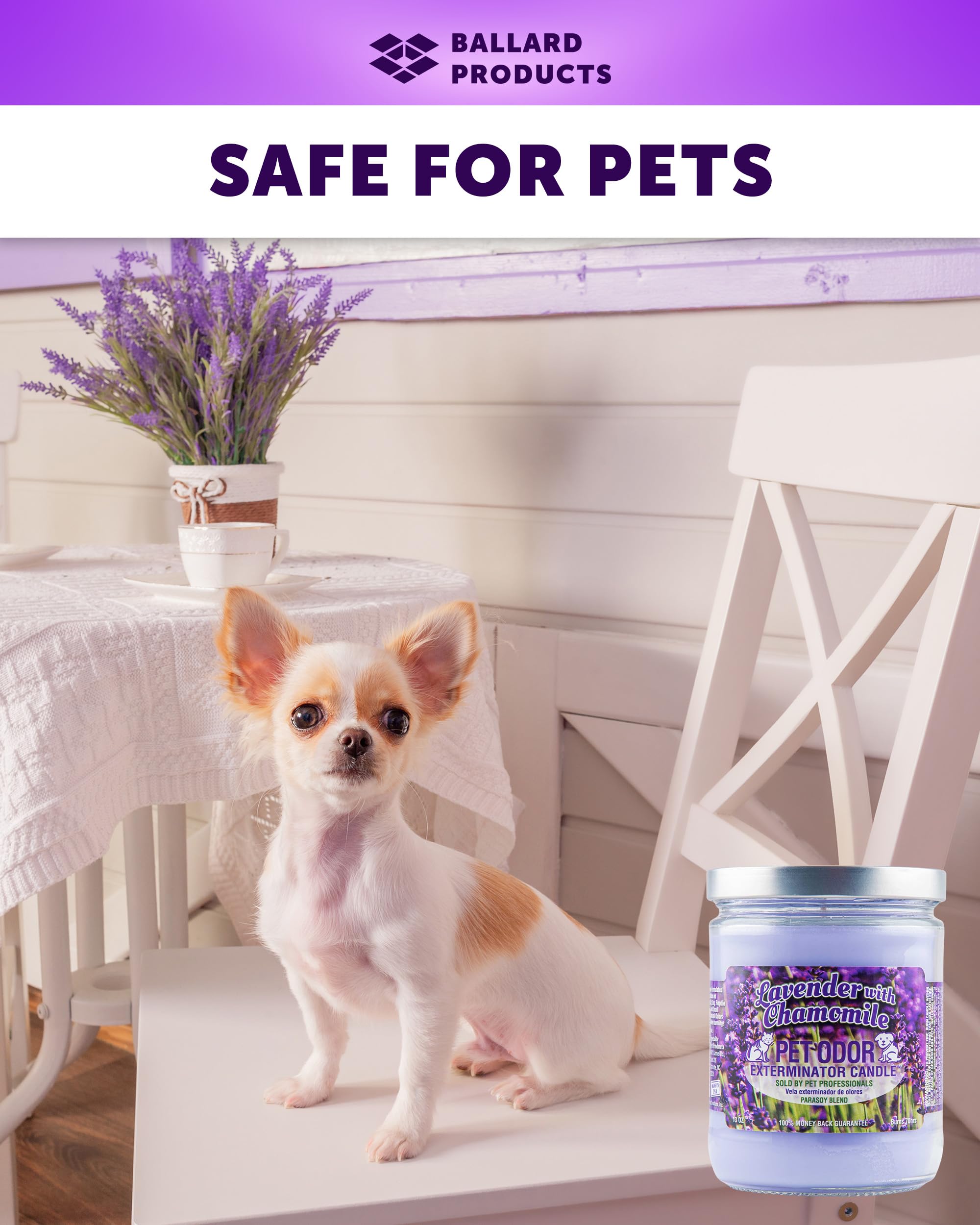 Lavender Chamomile Scented Pet Odor Eliminating Candle - 2 Pack Natural Wax Candles for Home & Pet Areas - Bundle with Ballard Products Air Freshener for Fresh Home & Pet-Friendly Spaces