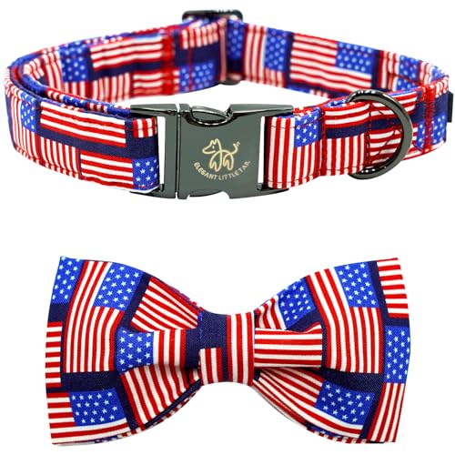 American Flag C