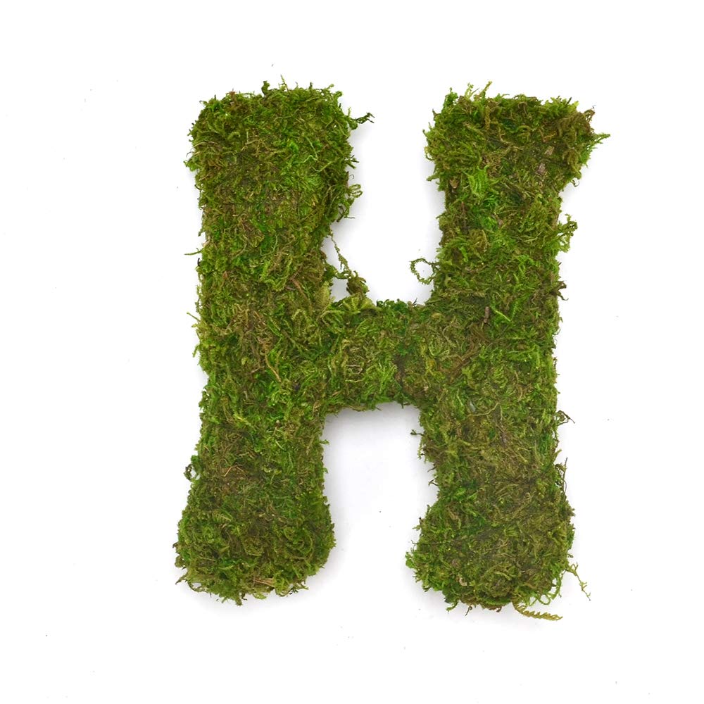 BYHER Decorative Moss Monogram Letters - Rustic Home Sign for Table Decor, Wedding Centerpiece, Birthday Gift & Farmhouse Décor | Perfect for Living Room, Nursery & Party Decorations