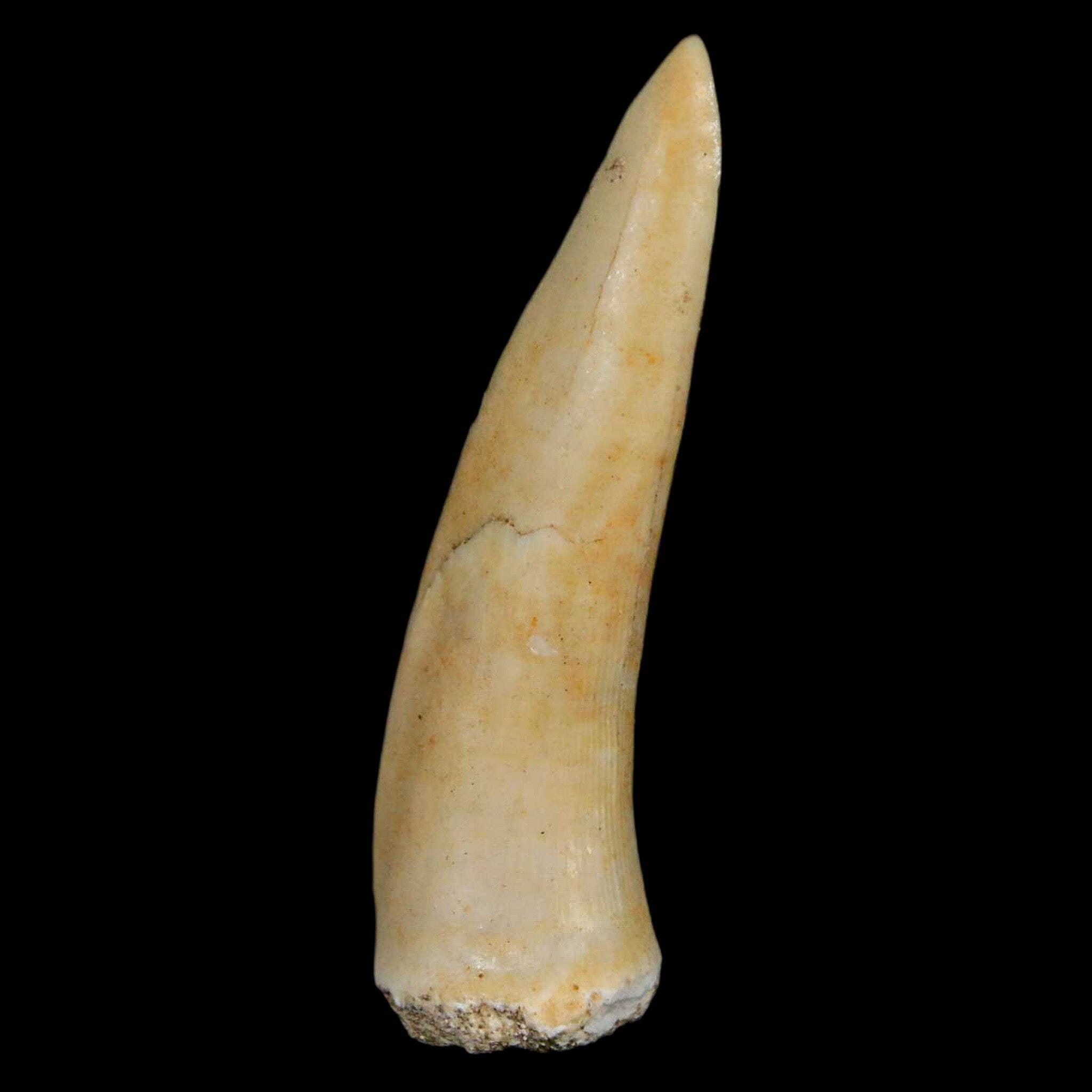 XL 2.1
