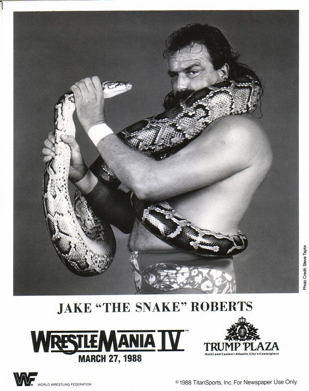 1988 Jake 'The Snake' Roberts WWF Wrestling Action Figure - Vintage Collectible for Wrestling Fans & Memorabilia Enthusiasts | Perfect for Display, Gifts & Nostalgic Collections