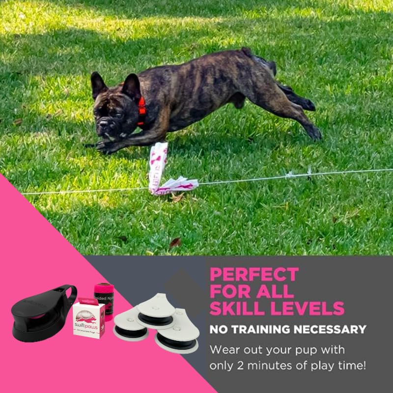 Swift Paws App-Controlled Dog Toy - Interactive Chase & Flag Lure Course for Dogs - Smart Pet Enrichment Game for Backyard, Training & Exercise