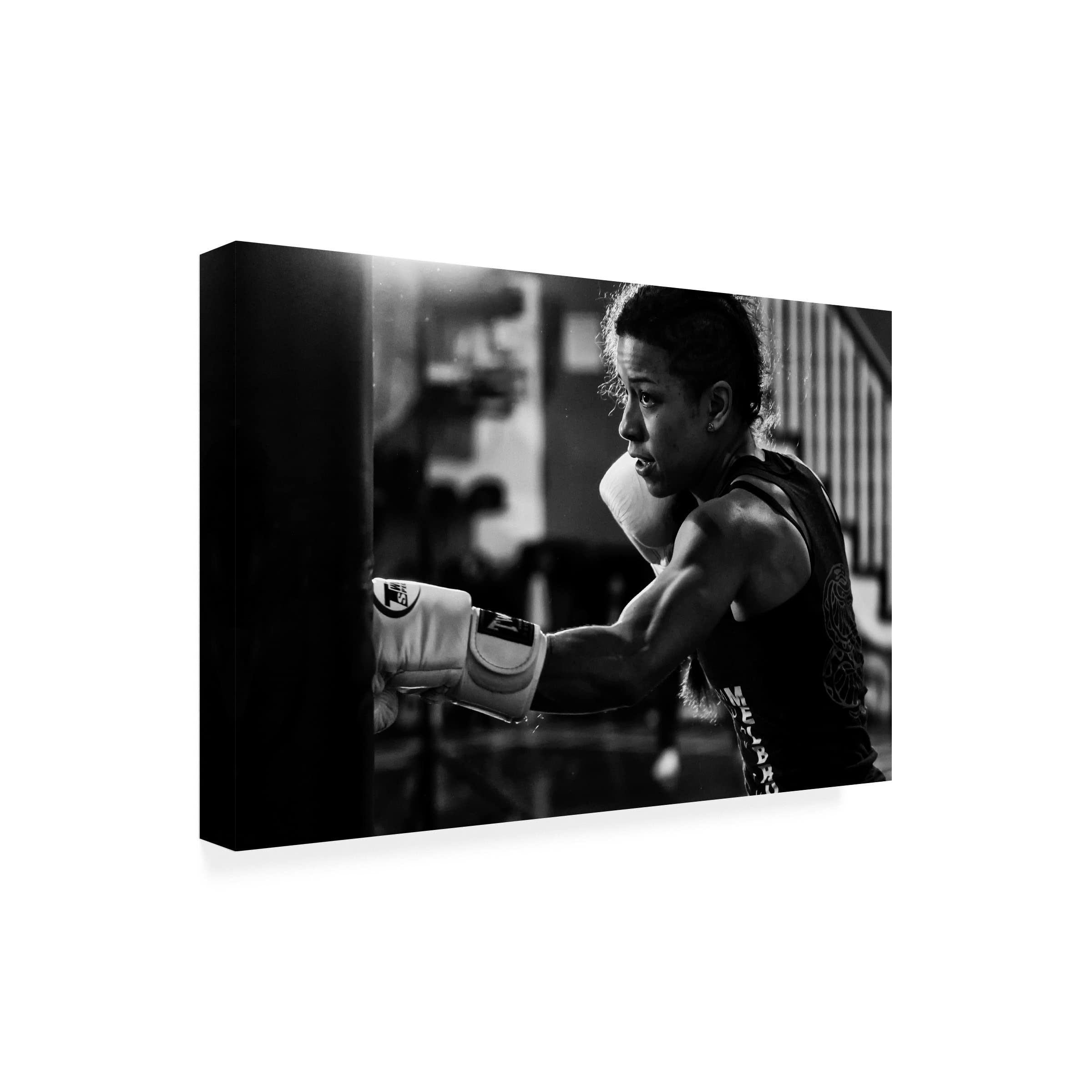 Trademark Fine Art 'Training' Canvas Wall Art by Henry Zhao - Premium Hand-Painted Home Decor for Living Room, Bedroom & Office