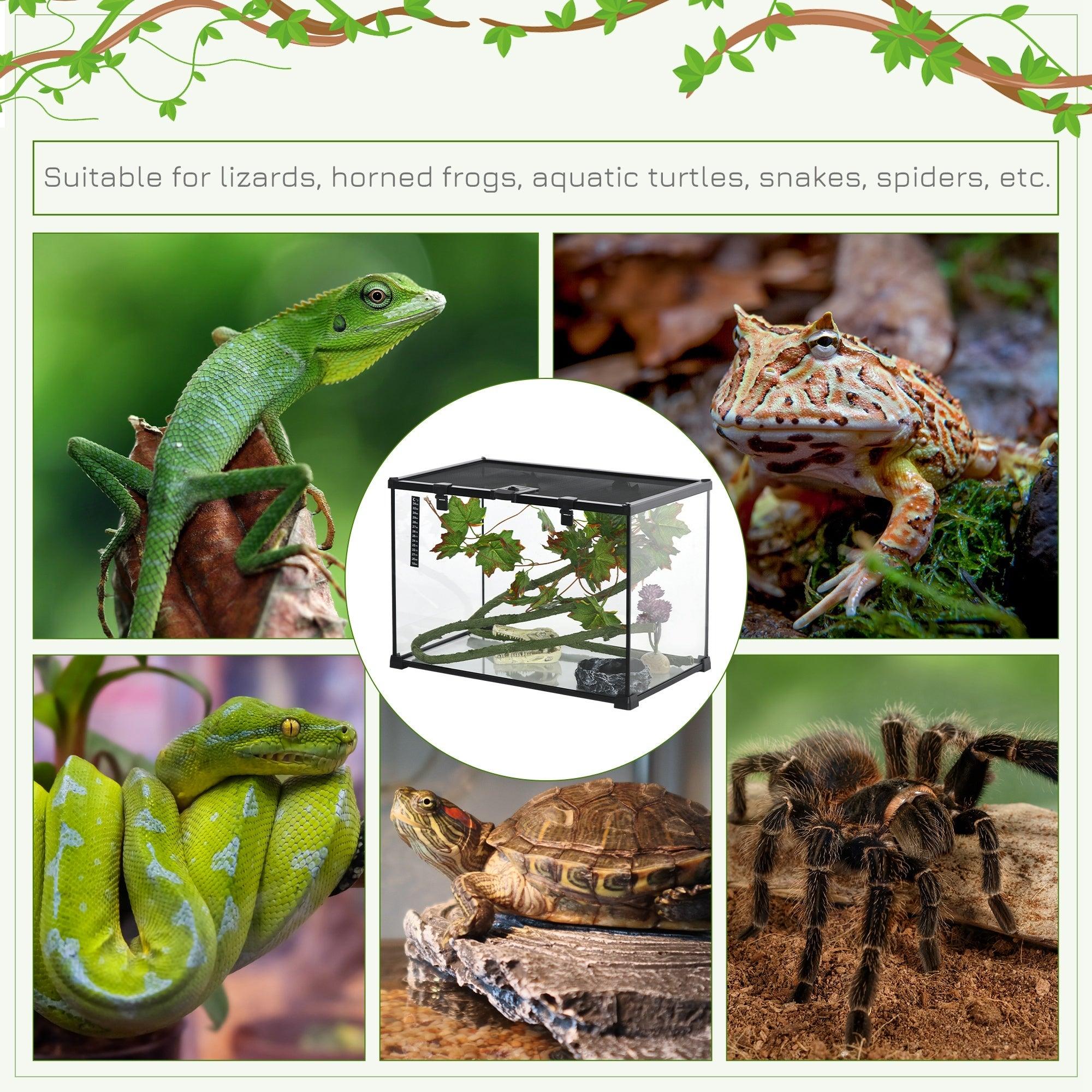 14 Gallon Glass Reptile Terrarium Tank with Decor Kit - Full View Breeding Enclosure for Lizards, Frogs, Snakes & Spiders - 20
