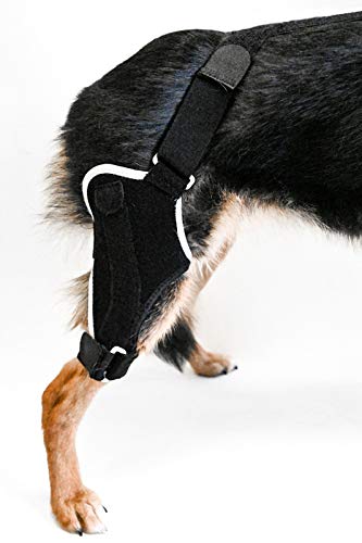 Embrace - Dog Knee Stifle Brace for Small Dogs (Right Leg) - Supports ACL Injuries & Joint Pain Relief for Active Pets