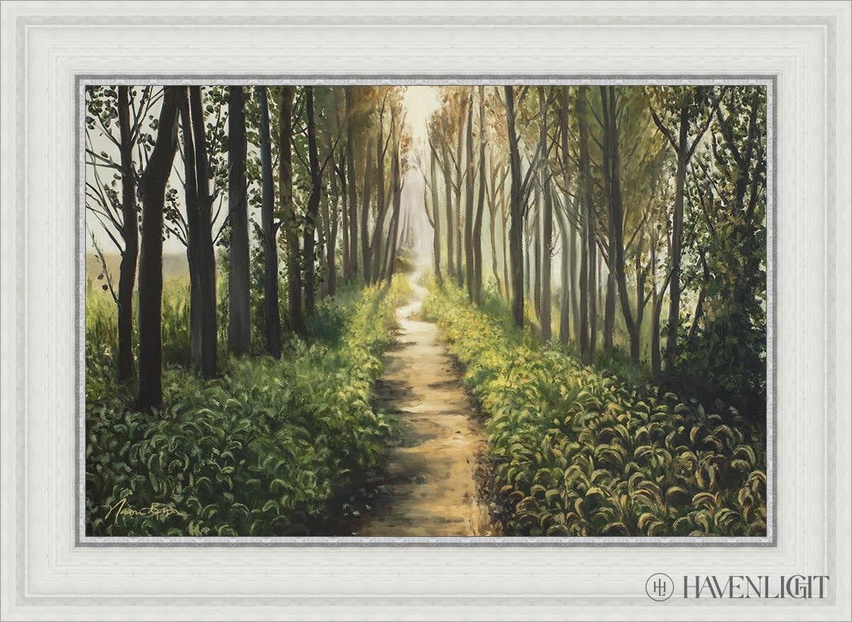 Forest Walkway - Beautiful Wooden Pathway for Gardens, Parks & Trails | Perfect for Outdoor Decor & Nature Walks