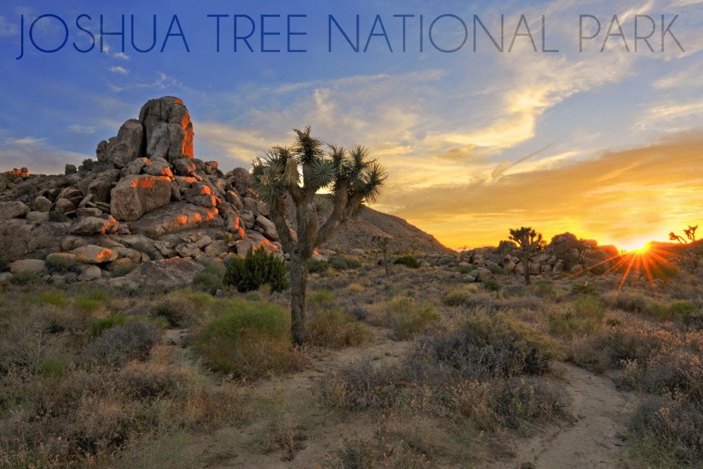 Joshua Tree National Park California Sunrise 24x36 Signed Art Print - Wall Decor Poster for Living Room, Bedroom & Office