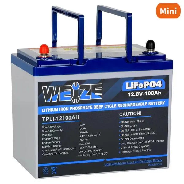 WEIZE 12V 100Ah LiFePO4 Lithium Deep Cycle Battery with Smart BMS - 10-Year Warranty, Low Self-Discharge (3%/Month) - Perfect for RV, Solar Power, Marine, Off-Grid & Backup Power Systems
