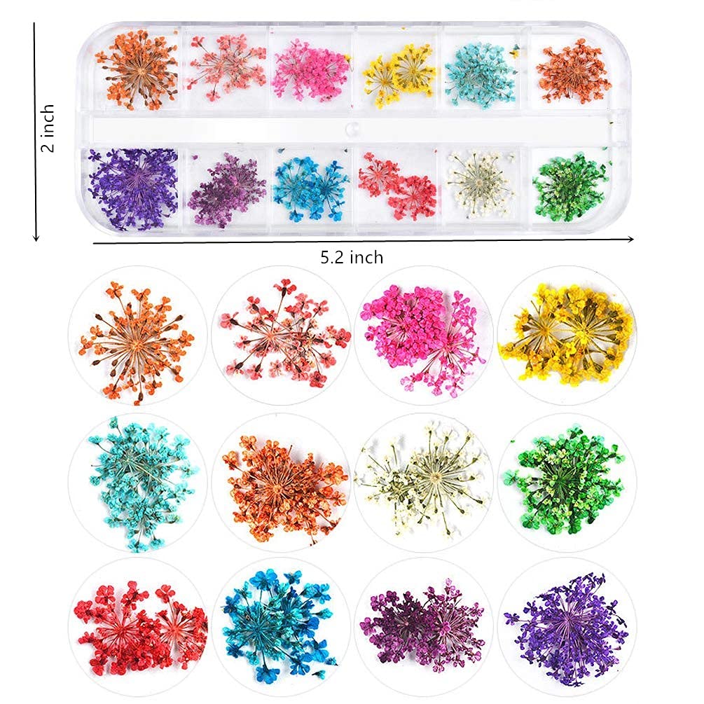 1 Box Dried Flowers & Fruit Slices for Nail Art - 3D Dry Flower Nail Stickers, Colorful Natural Real Flower Nail Decals, Fimo Fruit Slices Charms - DIY Nail Art Supplies & Slime Accessories for Manicure, Pedicure, Scrapbooking & Craft Projects