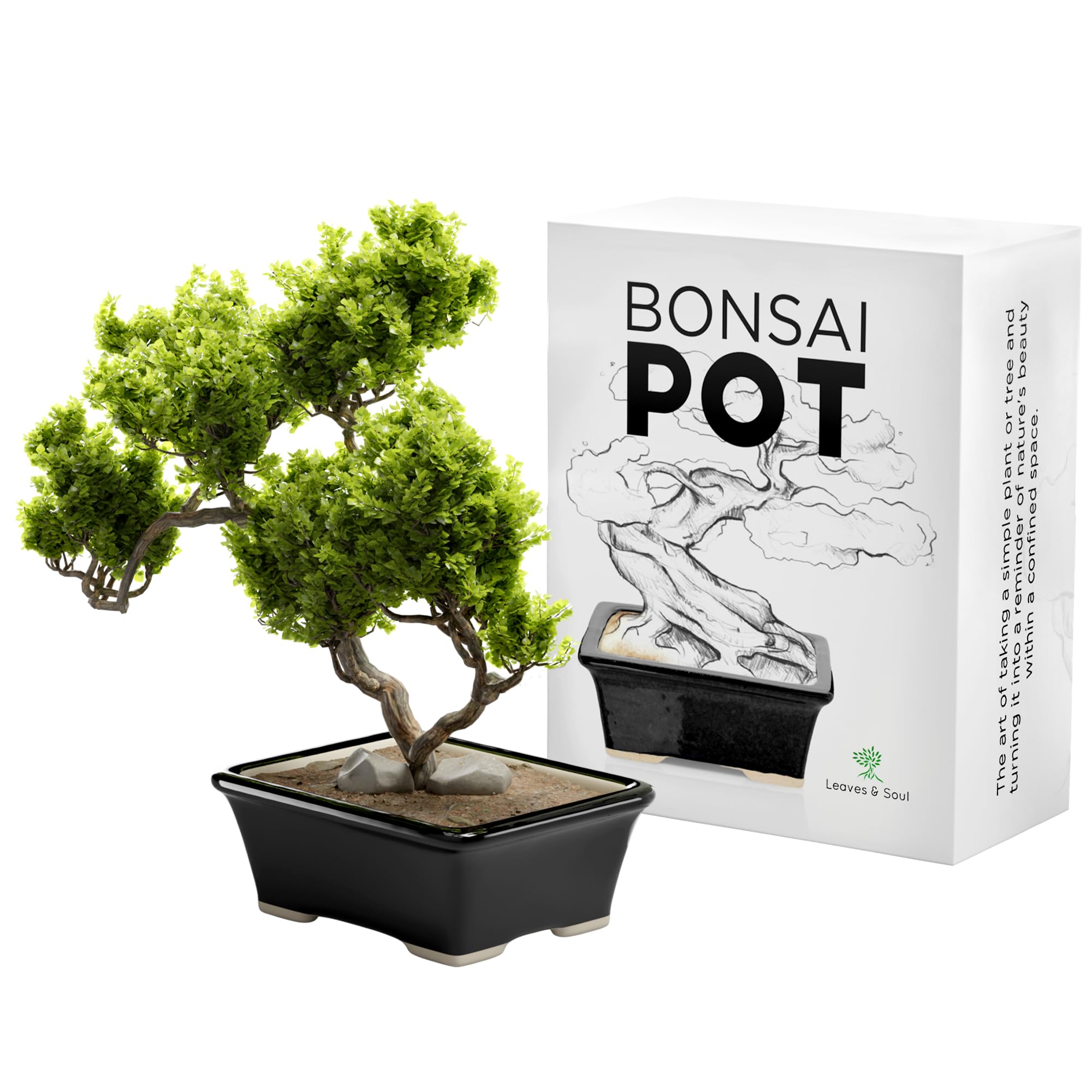 Glazed Ceramic Bonsai Pot - Premium Black Rectangular Planter for Succulents, Small Plants & Indoor/Outdoor Gardens - Ideal for Home Decor, Office Desk & Zen Garden Arrangements